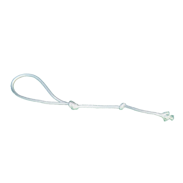 The whip cracking tip