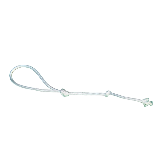 The whip cracking tip