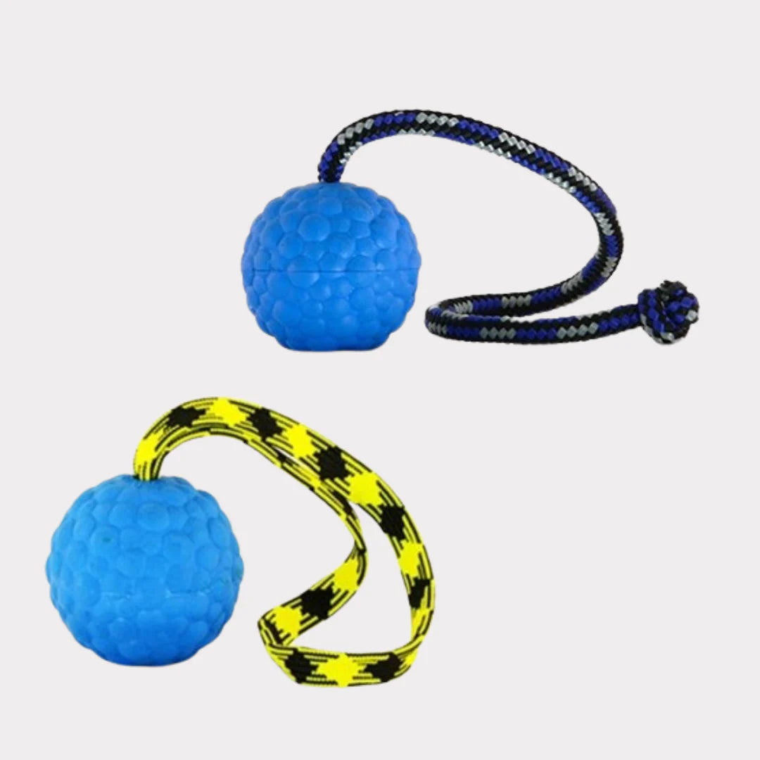 Rubber ball on a string/loop