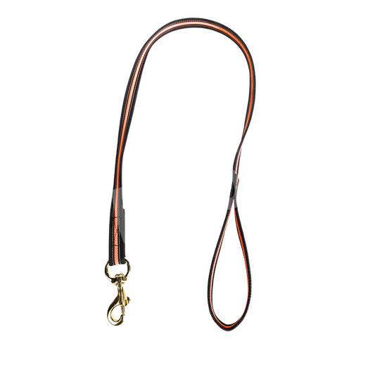 Smycz gumowana neonowa