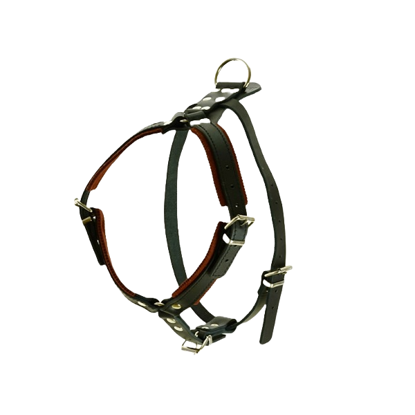 Skórzane szelki na obronę z podszyciem