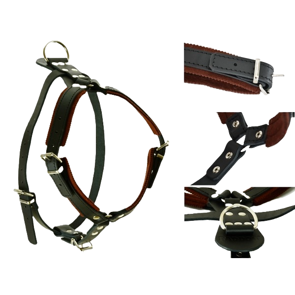 Skórzane szelki na obronę z podszyciem