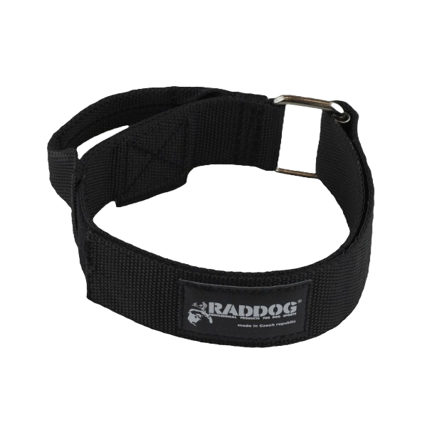 Obroża nylonowa z uchwytem