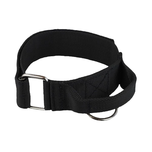 Obroża nylonowa z uchwytem