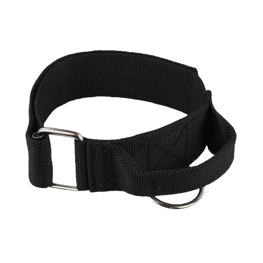 Obroża nylonowa z uchwytem