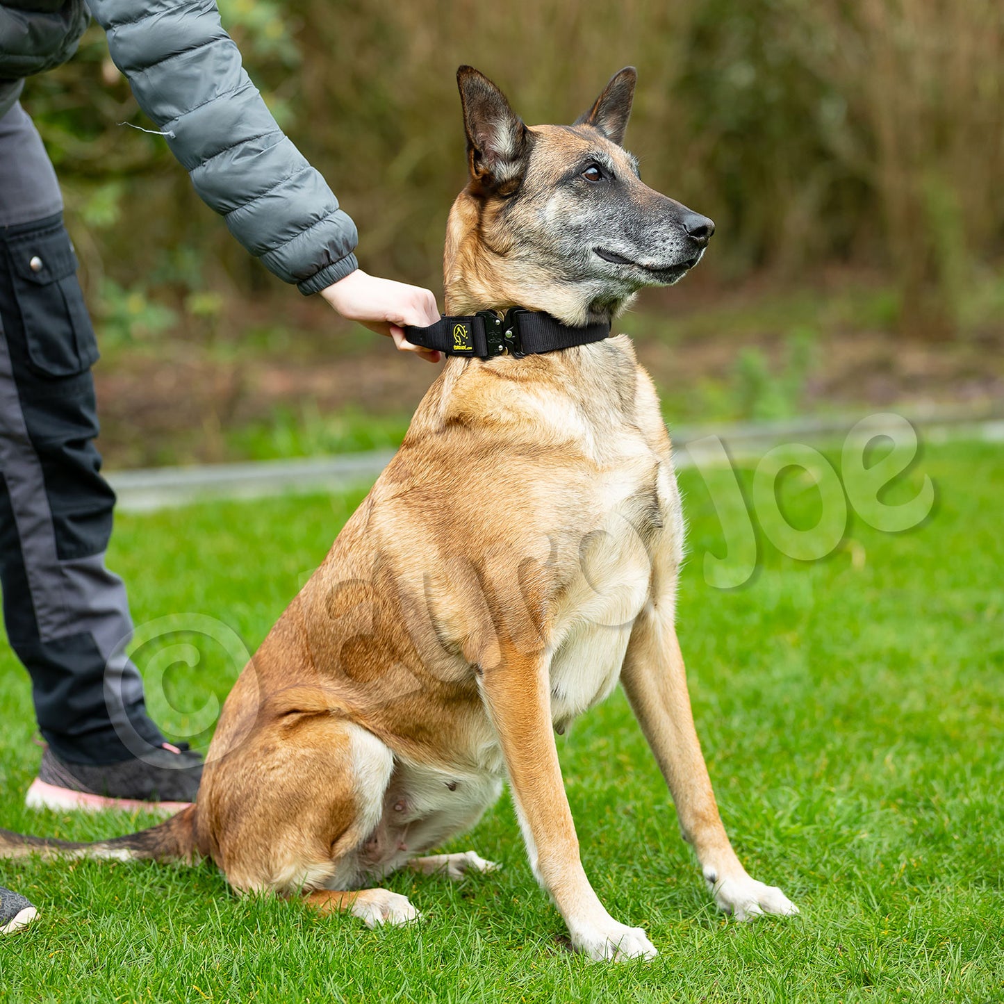 "Tactical" Collar with Cobra Clasp