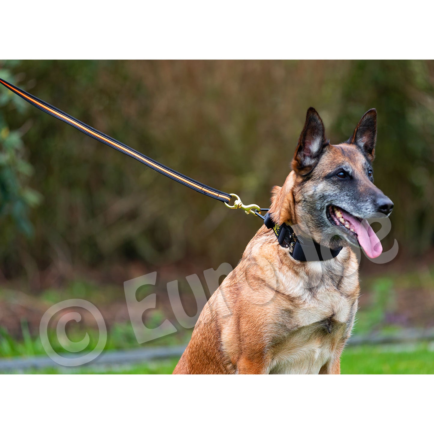 Smycz gumowana neonowa