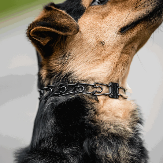 Kolczatka stal nierdzewna czarna mini 40 cm 2,25 mm