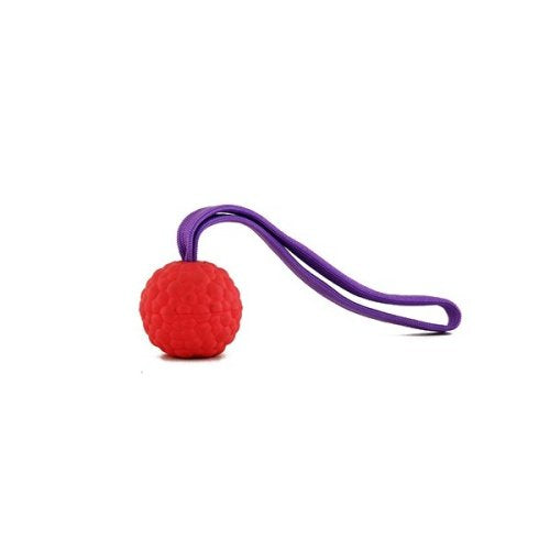 Rubber ball on a string/loop