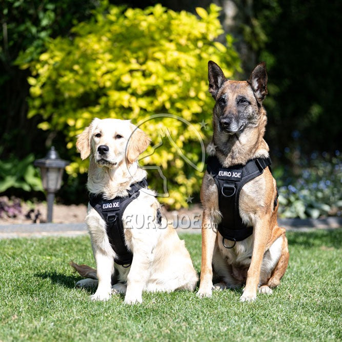 Tactical suspenders with "Cobra" fastening