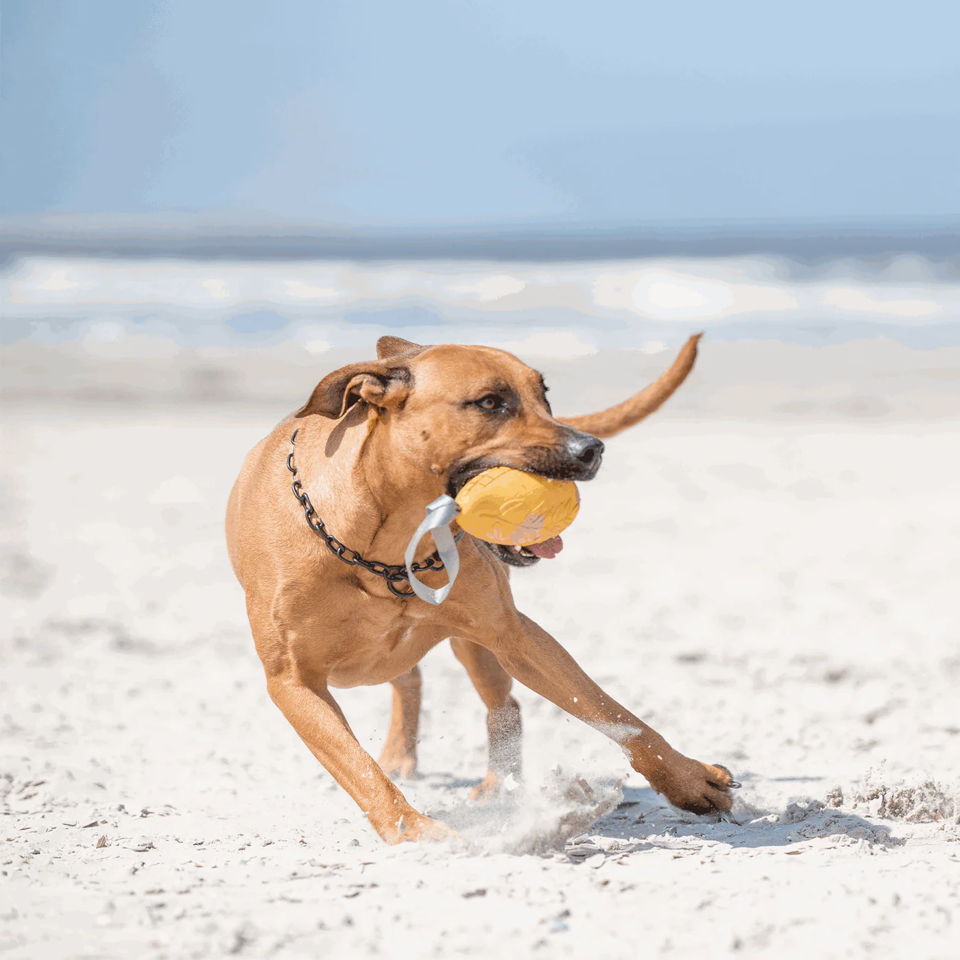Chain with carabiner stainless steel 3mm