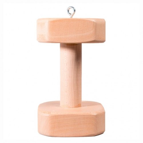 Magnetic fetch with wooden handle