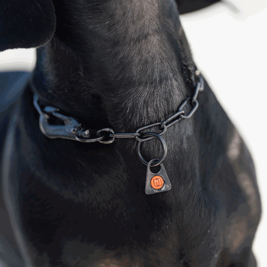 Łańcuszek z karabińczykiem stal nierdzewna czarny 2 mm