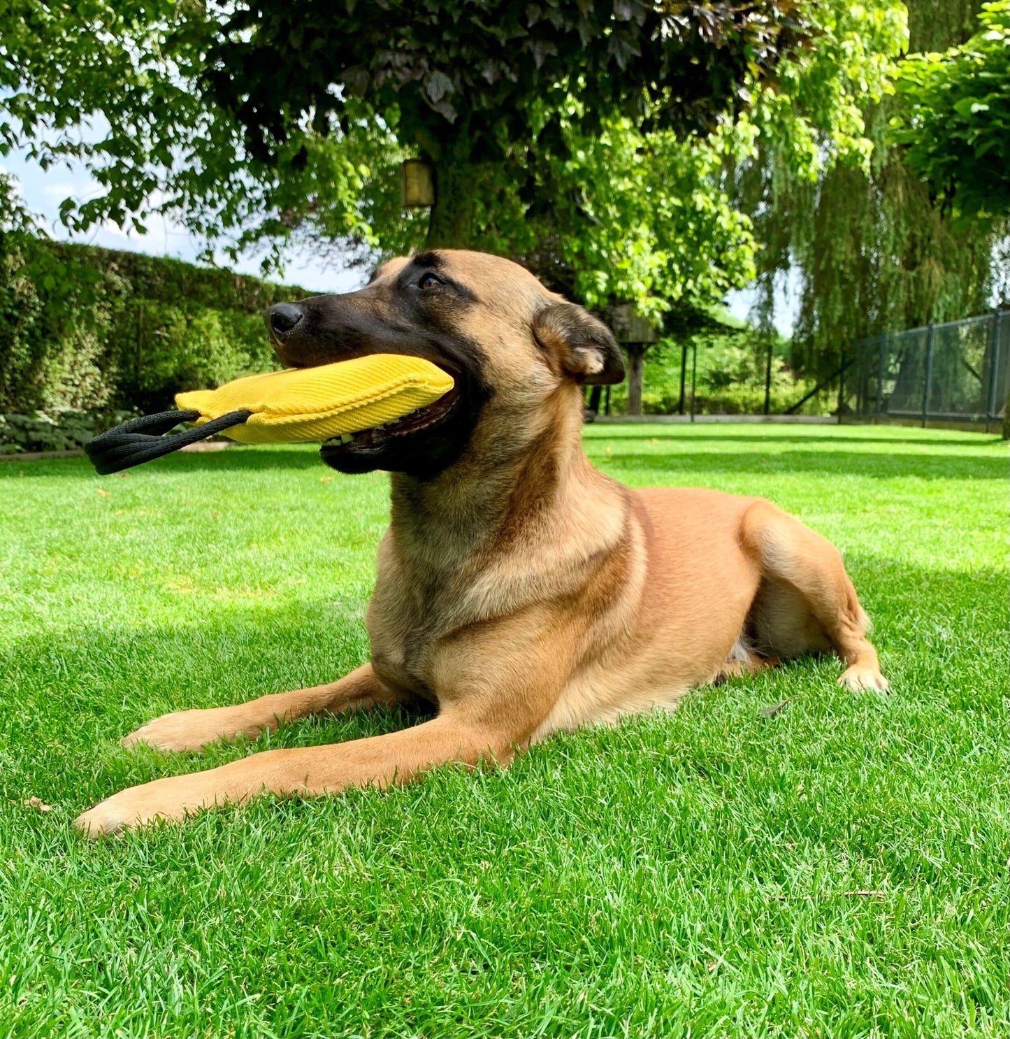 Just Play Chewable Cushion