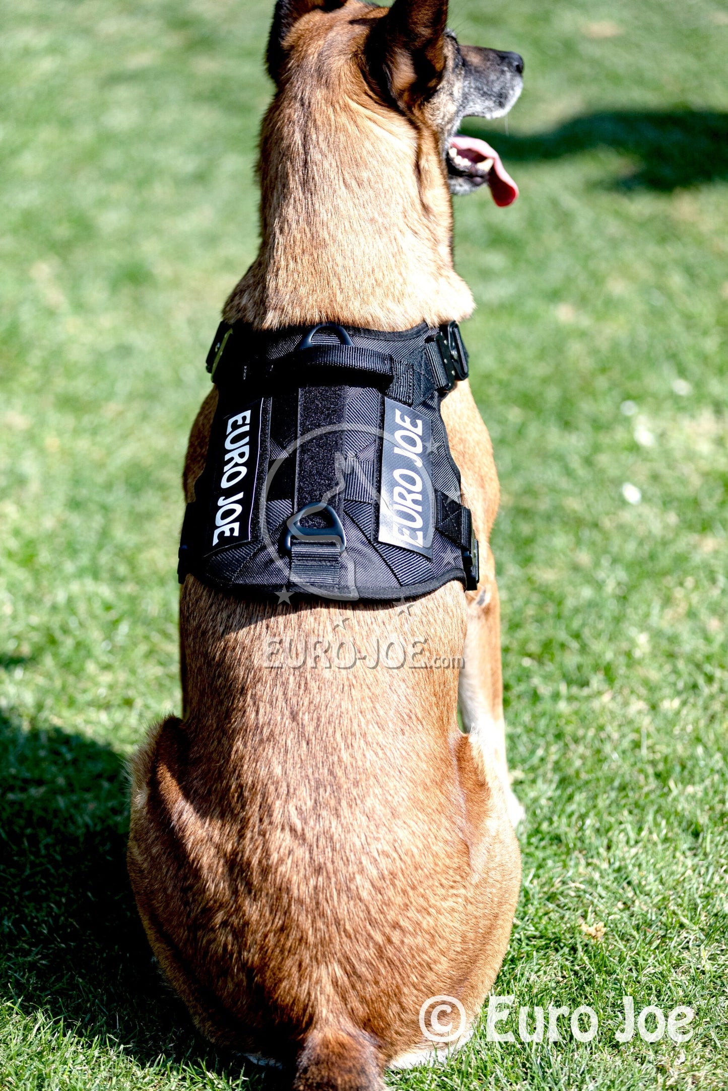 Tactical suspenders with "Cobra" fastening