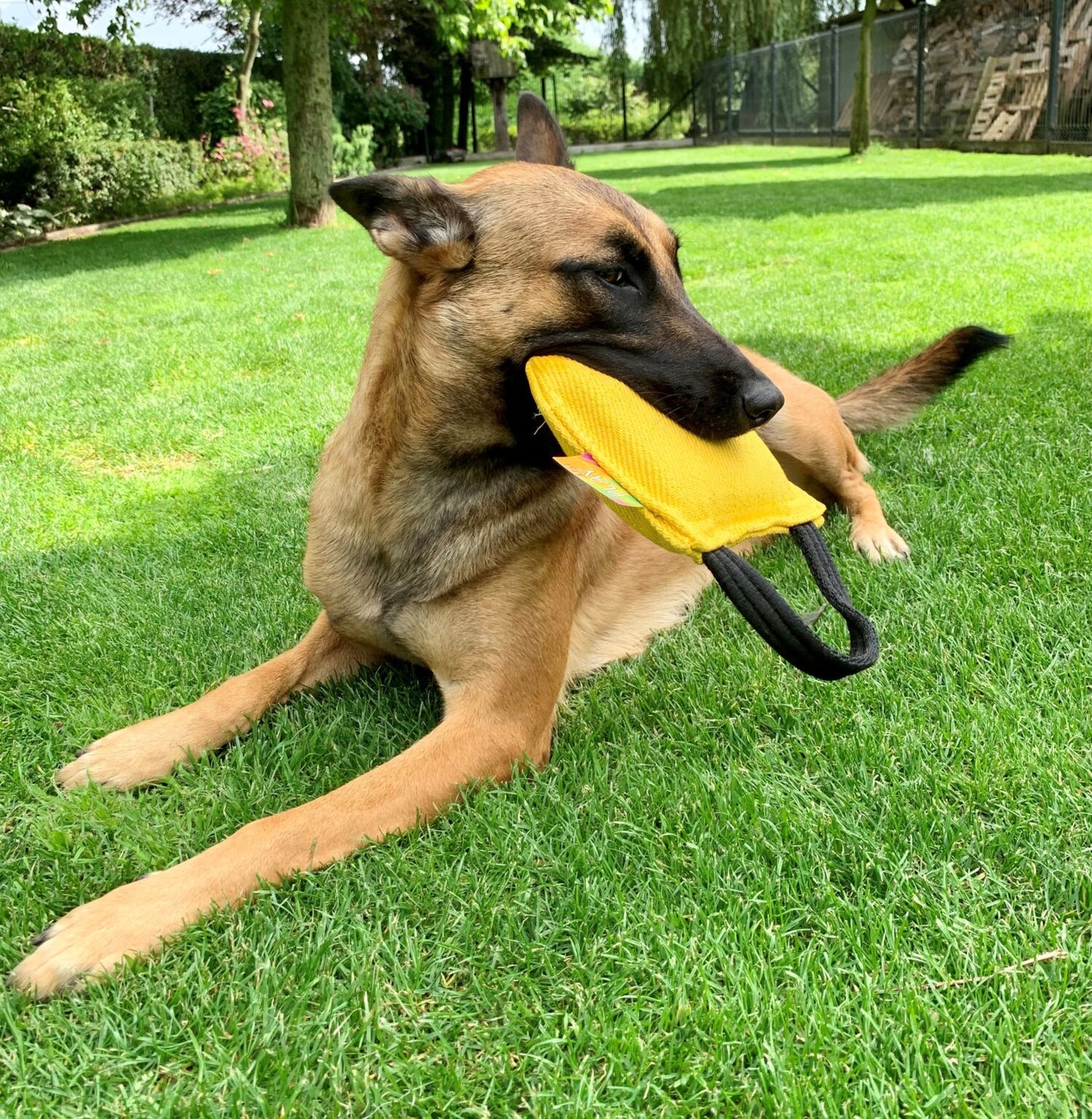 Just Play Chewable Cushion