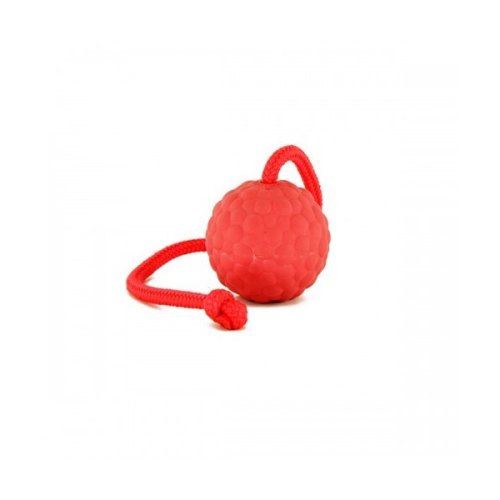 Rubber ball on a string/loop