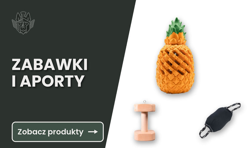 Zabawki i aporty dla psa: gryzak, piłka i wałek treningowy