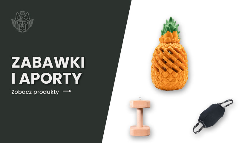 Zabawki i aporty dla psa: gryzak, piłka i wałek treningowy