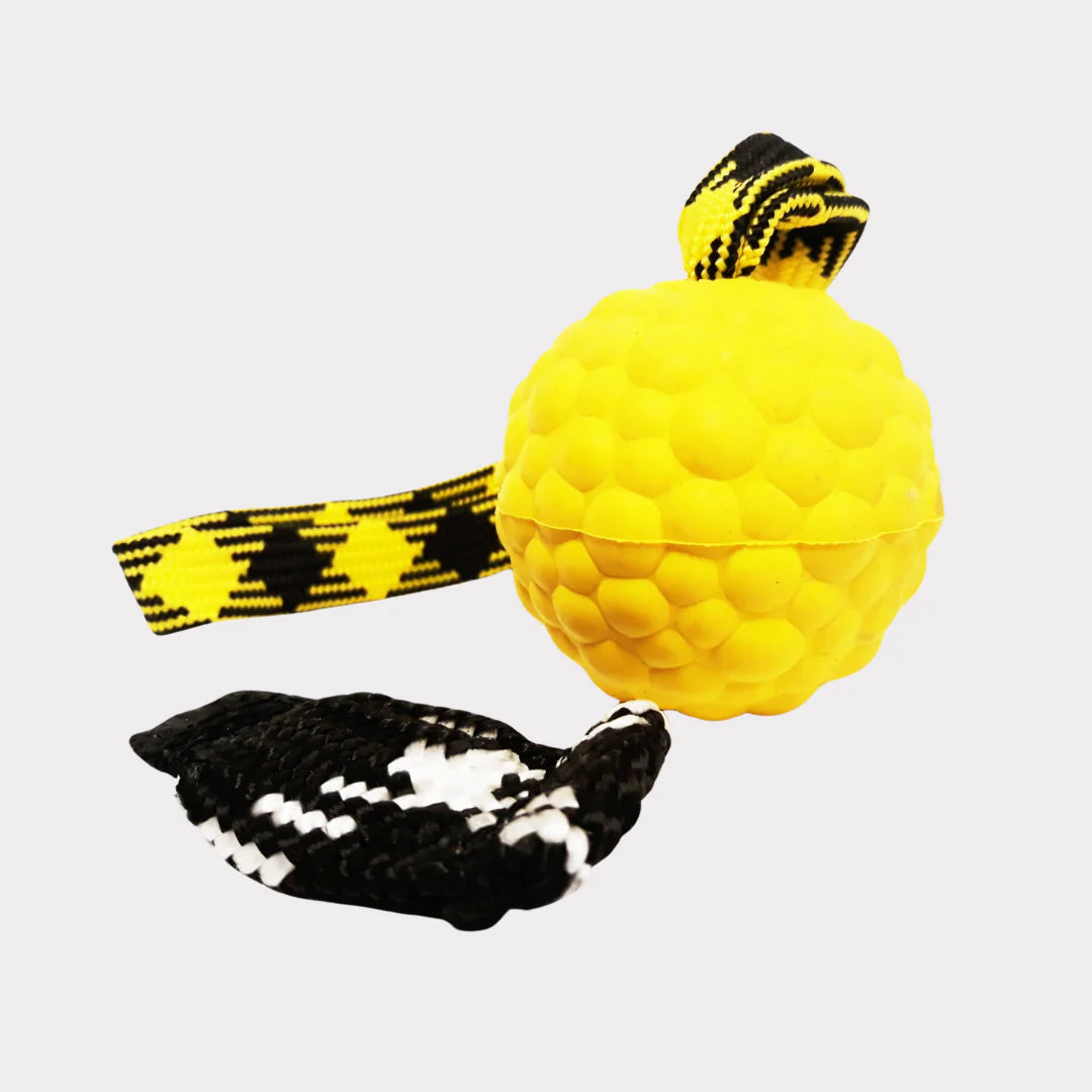 Rubber ball with magnet