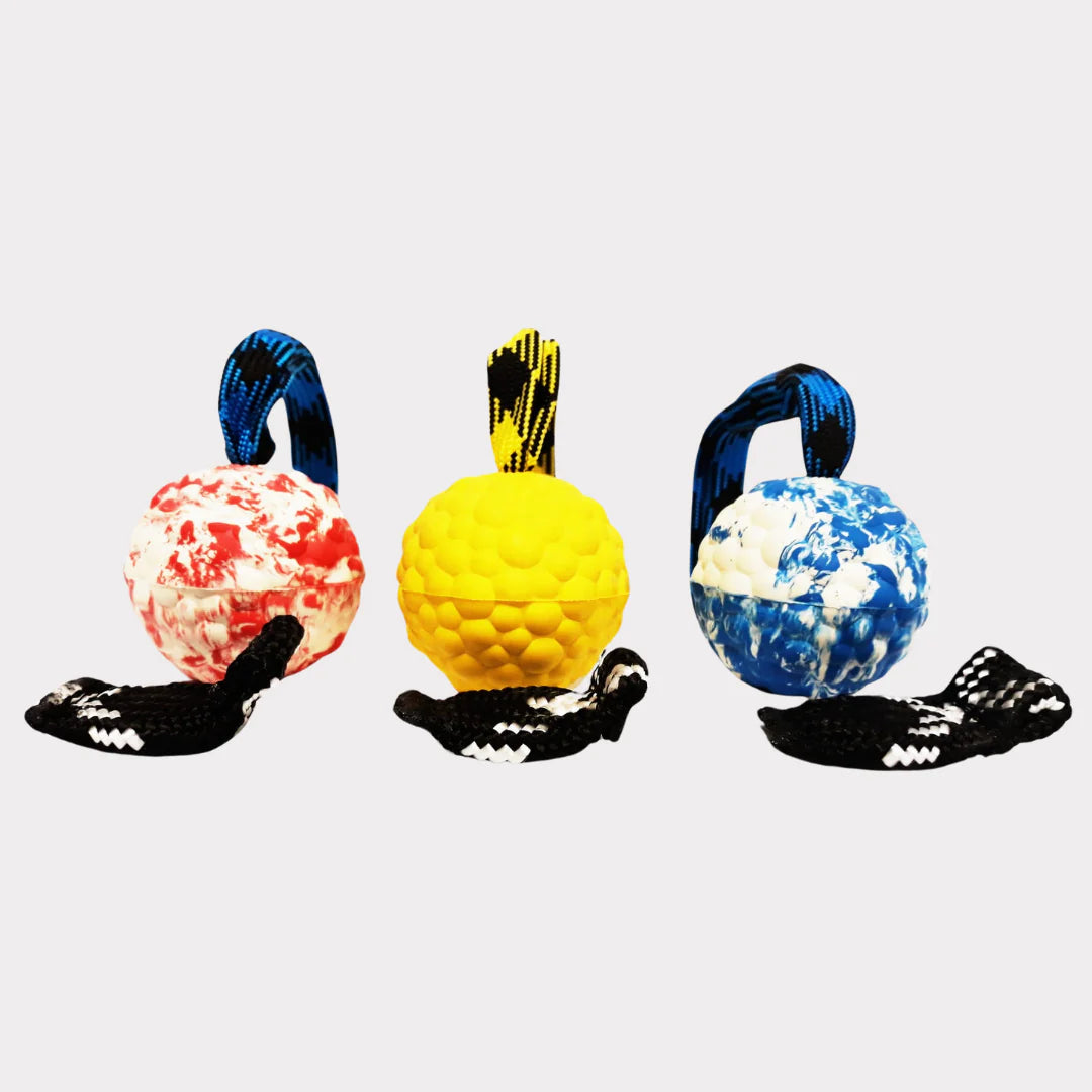 Rubber ball with magnet