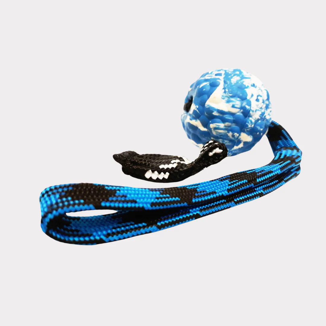 Rubber ball with magnet