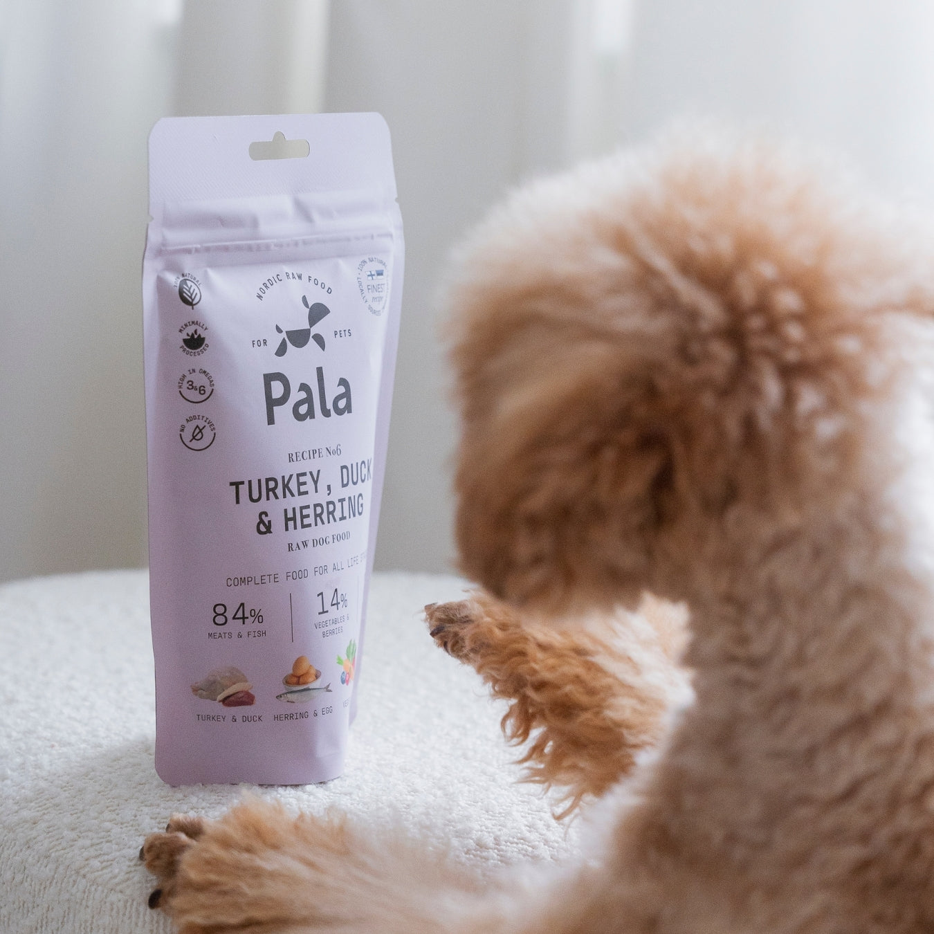 Karma surowa suszona powietrzem Pala Pet Foods, Przepis #6, indyk, kaczka i śledź - opakowanie obok psa