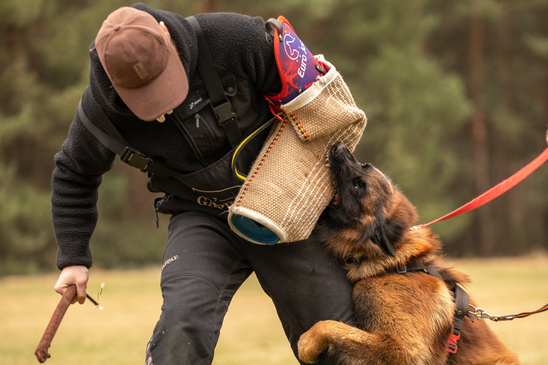 Rękaw pełny lewy Euro Joe, IPO 159 - trening obrony, pies na rękawie