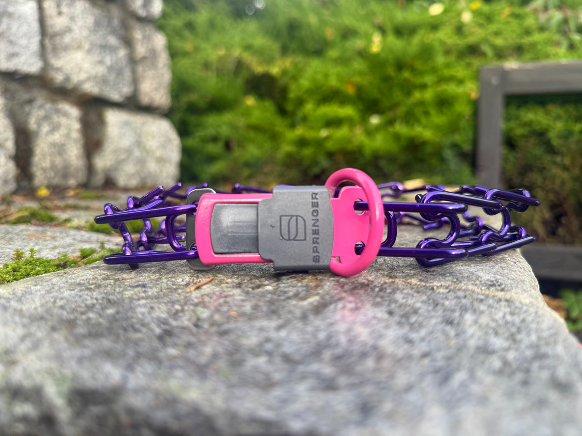 Herman Sprenger ULTRA-PLUS personalised prong collar - Candy purple