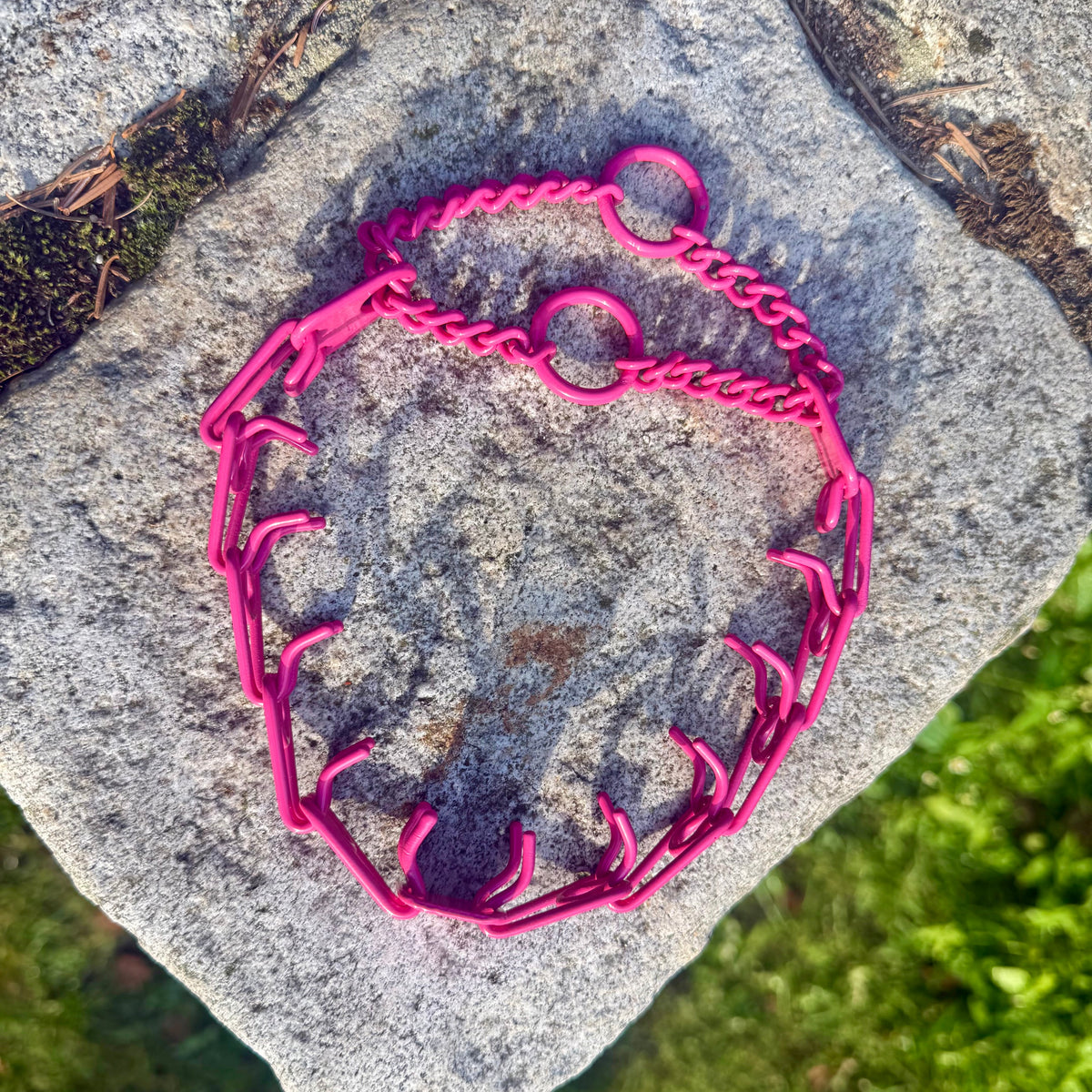 Herman Sprenger ULTRA-PLUS personalised prong collar - Hot pink
