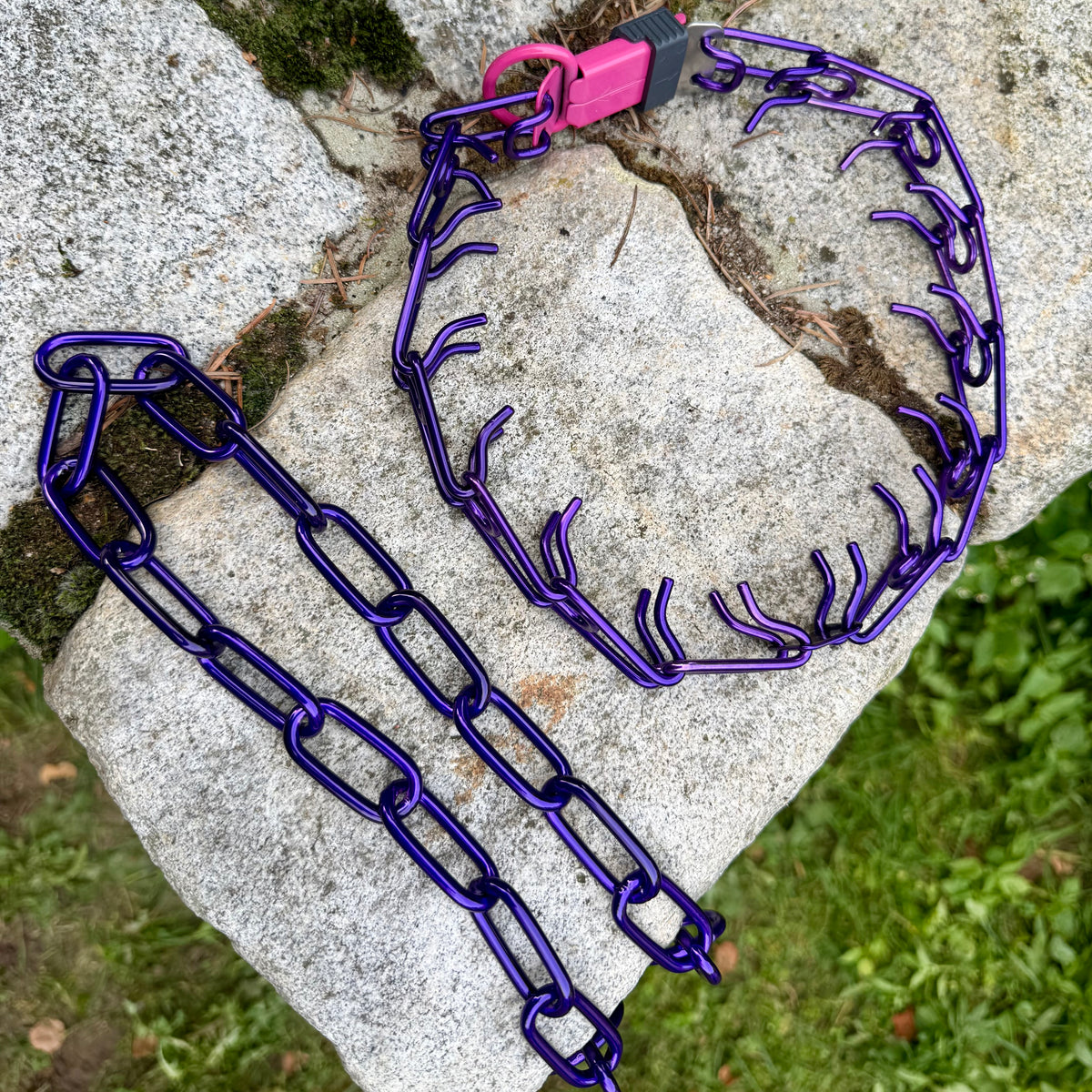 Herman Sprenger ULTRA-PLUS personalised prong collar - Candy purple