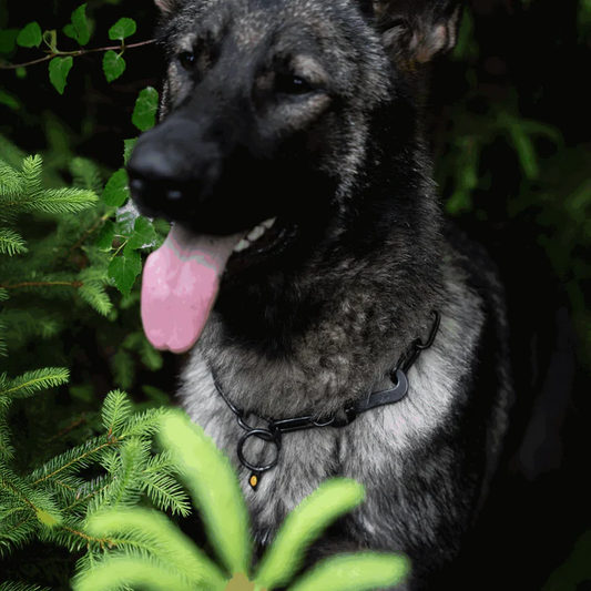 Łańcuszek z karabińczykiem stal nierdzewna czarny 4 mm długie ogniwo