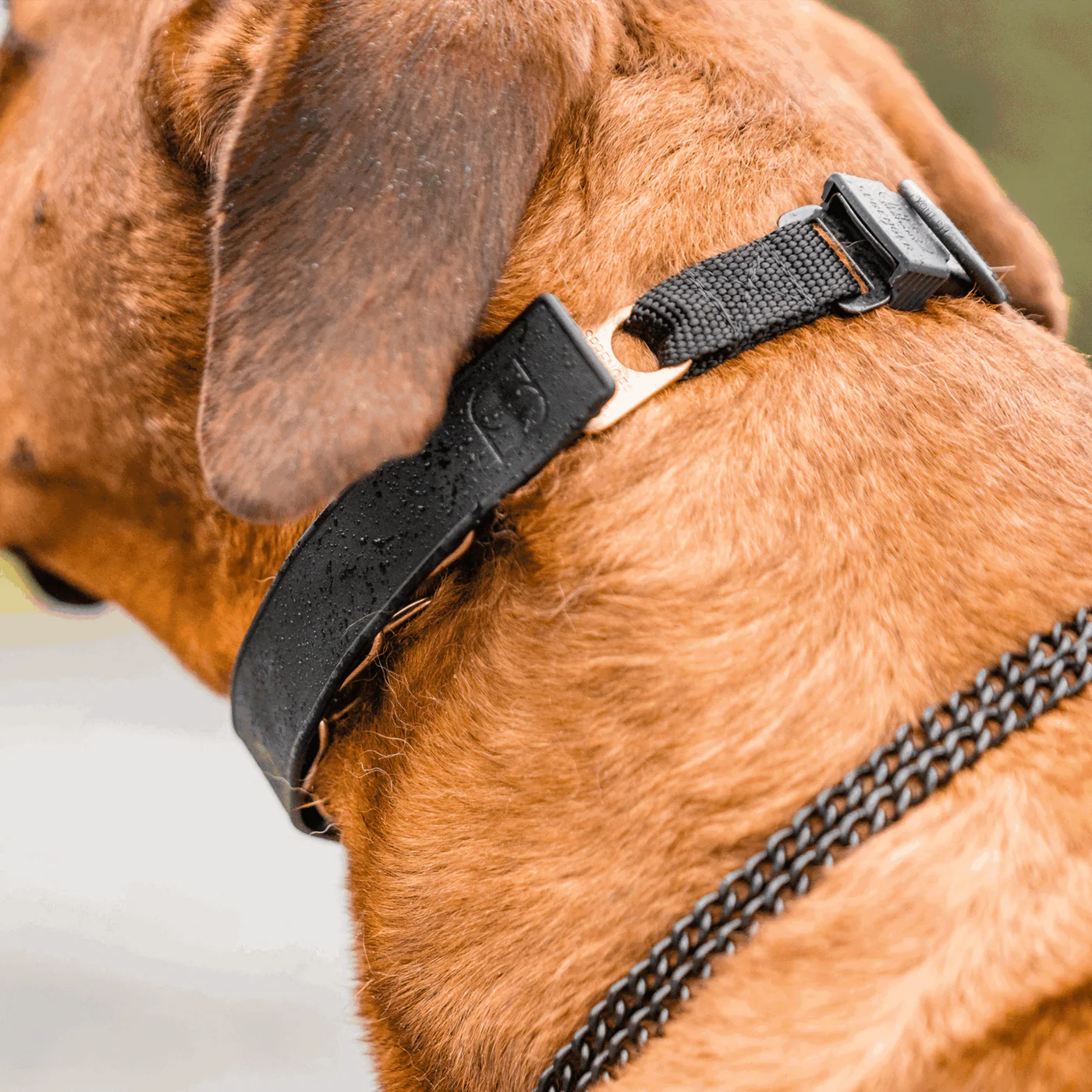 Osłonka na kolczatkę gumowa elastyczna 2,25 mm Herman Sprenger