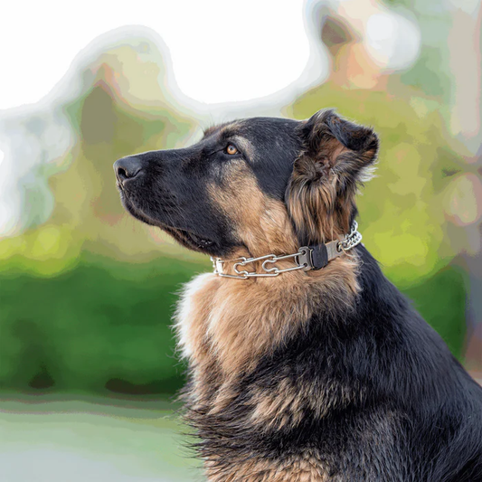 Kolczatka treningowa Herman Sprenger ULTRA-PLUS – zaciskowa – zapięcie ClickLock z boku – stal nierdzewna – 58 cm / 3,2 mm