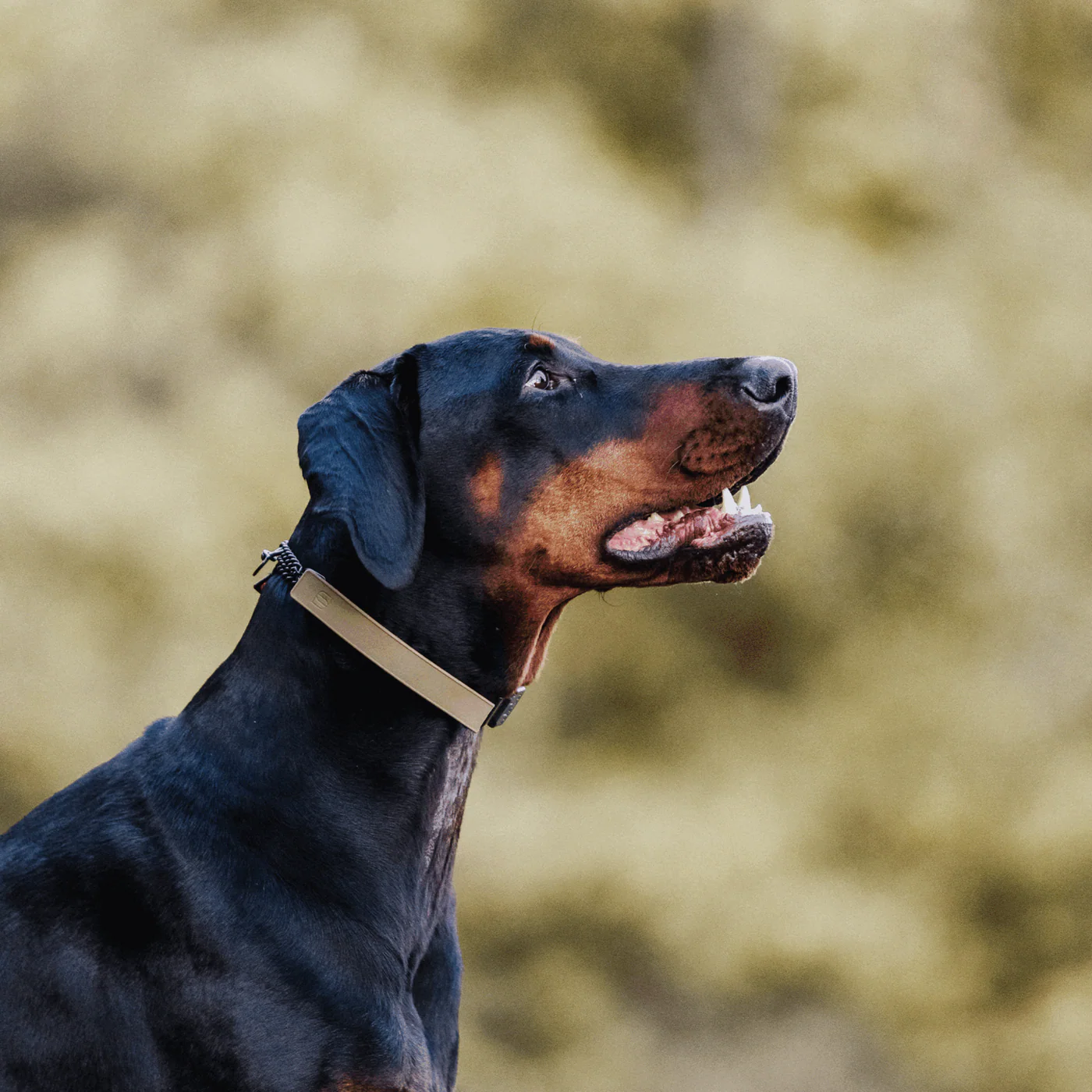 Osłonka na kolczatkę gumowa elastyczna 2,25 mm Herman Sprenger