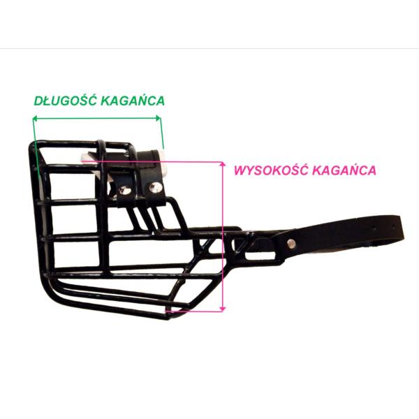 Physiological muzzle Rottweiler, Cane Corso, Fila Brasileiro CHOPO