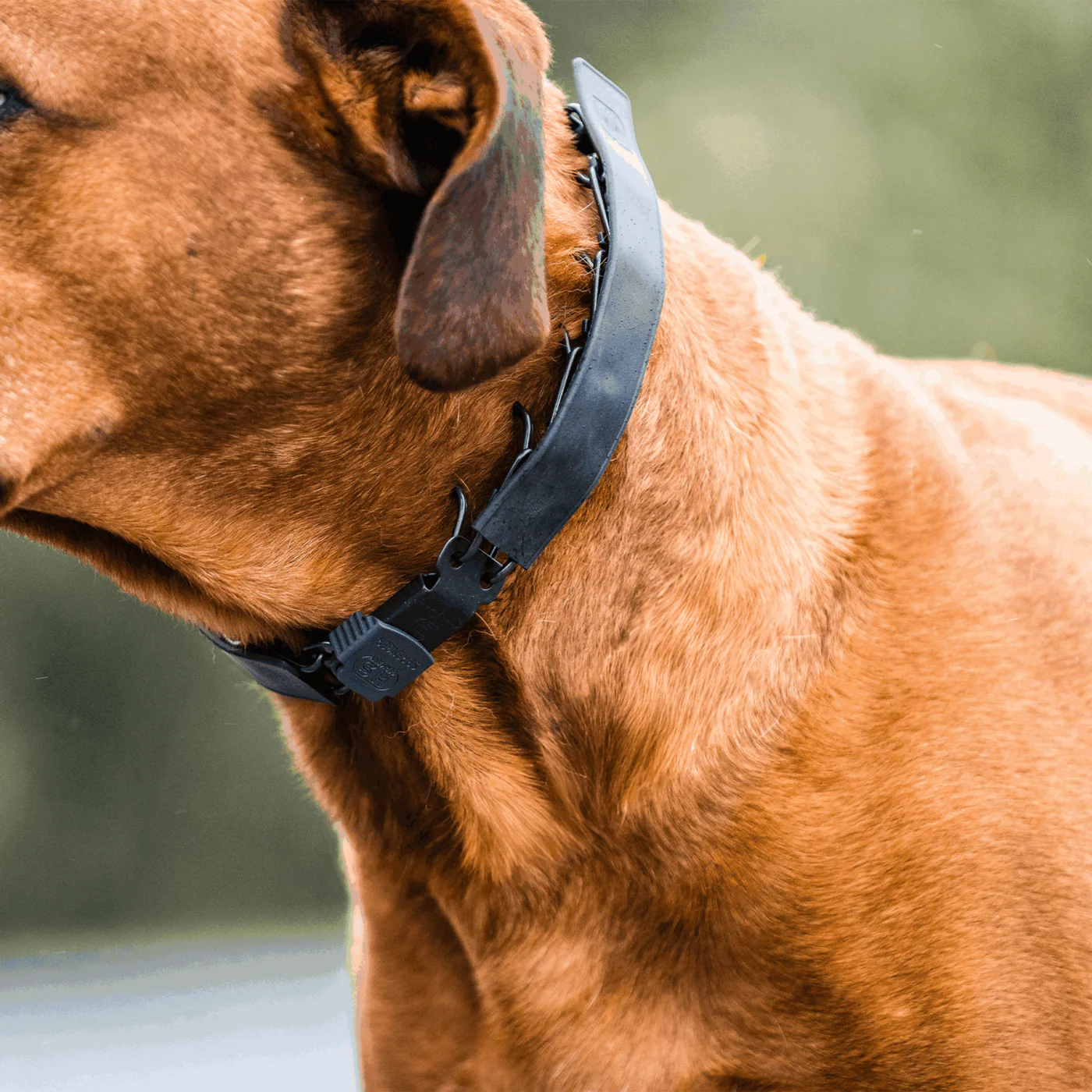 Osłonka na kolczatkę gumowa elastyczna 2,25 mm Herman Sprenger