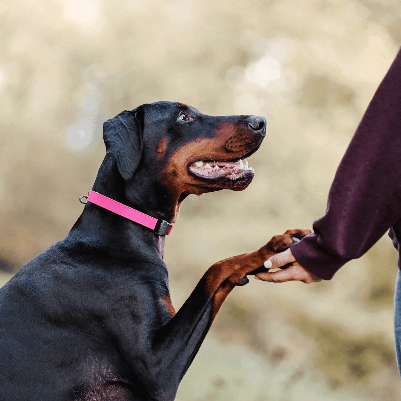 Osłonka na kolczatkę gumowa elastyczna 2,25 mm Herman Sprenger