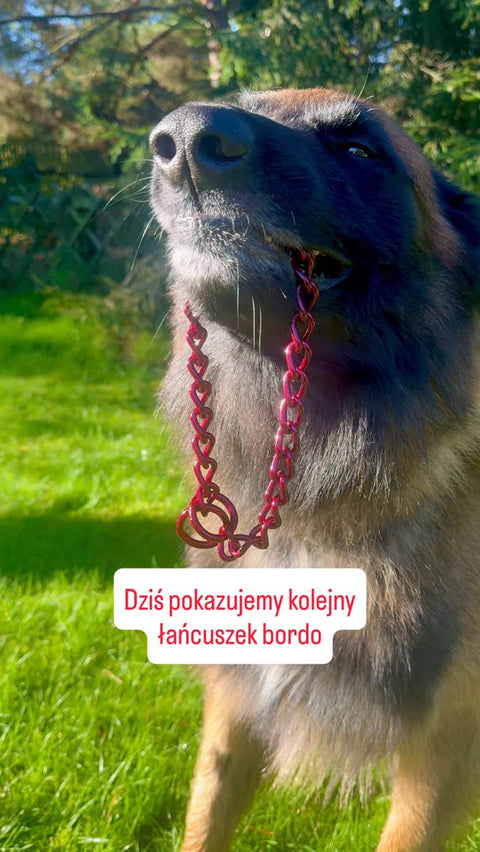 Bordo 🔴 jeden z naszych ulubionych kolorów w kolejnej odsłonie