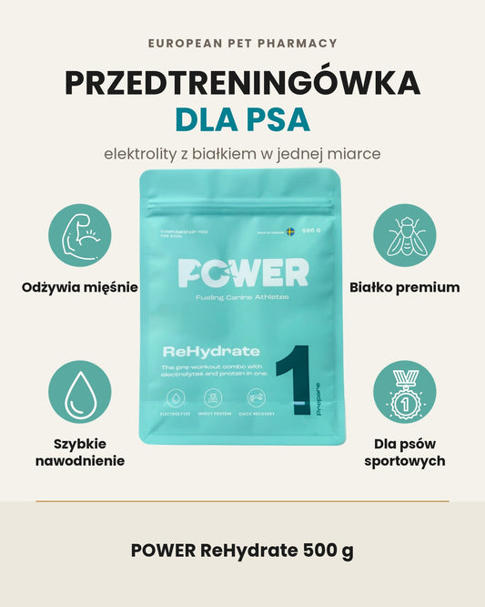POWER ReHydrate 500 g - przedtreningówka dla psa: odżywia mięśnie, białko premium, szybkie nawodnienie, dla psów sportowych