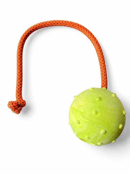 Piłka Euro Joe RewardBall - na sznurku