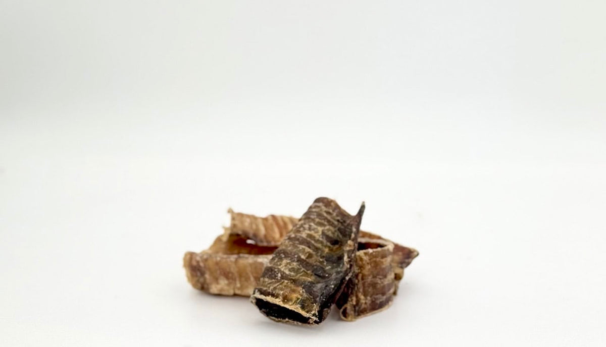 Gryzak naturalny dla psa DK DOG - tchawica wołowa - 150 g